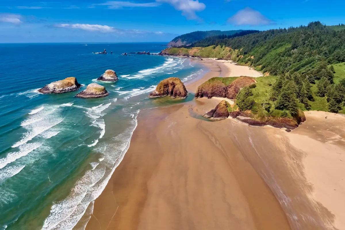 A tranquil view of Rockaway Beach featuring expansive sandy shores, dramatic rock formations, gentle waves rolling in, and a backdrop of dense coastal forest. The scene captures the natural beauty and open space ideal for walking, sandcastle building, and soaking in the coastal atmosphere.